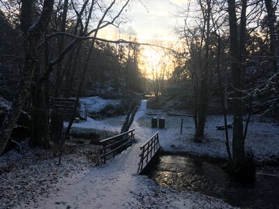 Přírodní rezervace Alby - Nyfors
