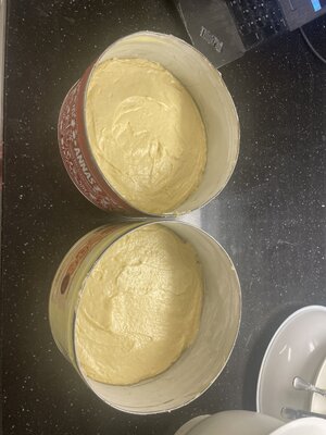 Vanilla cake dough/Vanilkový dort těsto
